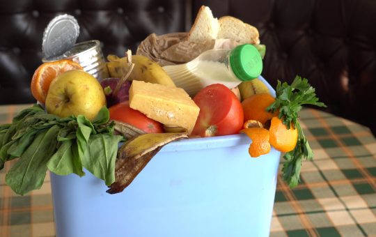Comment éviter le gaspillage alimentaire dans les structures et les maisons 
